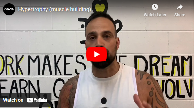 You are currently viewing 5 keys to Hypertrophy (muscle building)
